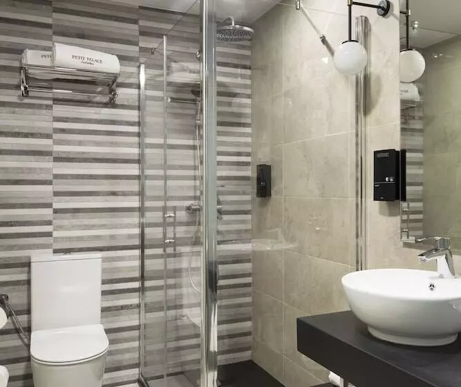 Fotos del hotel Petit Palace Triball:  19