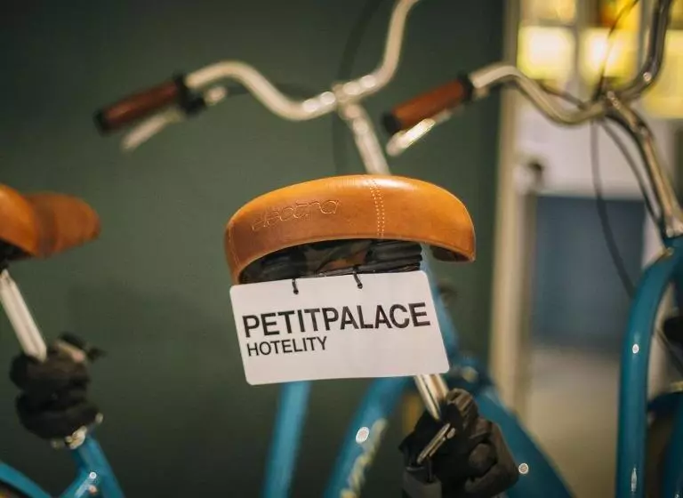 Fotos del hotel Petit Palace Triball:  5