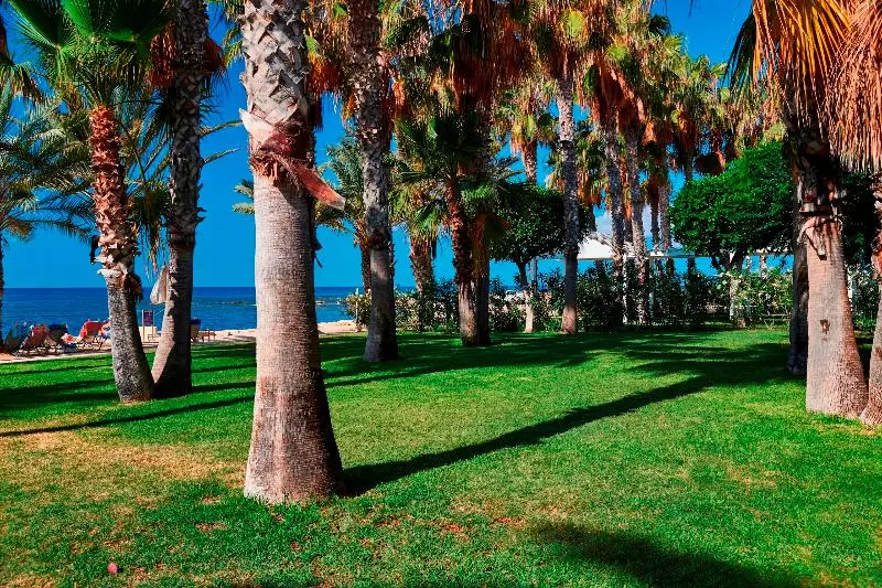 Fotos del hotel Louis Phaethon Beach:  14