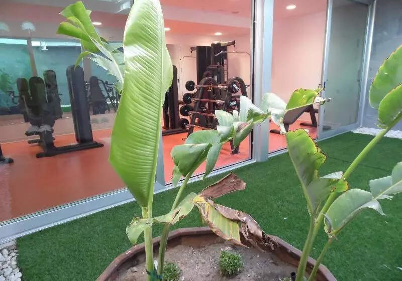 Fotos del hotel Nayra - Adults Only:  3