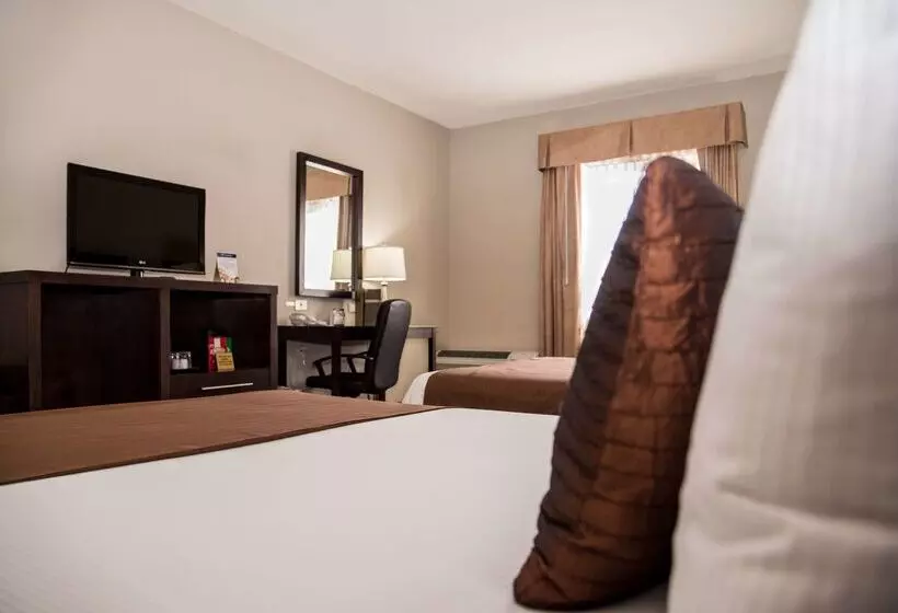 Fotos del hotel Best Western Plus Monterrey Airport:  21