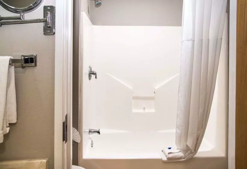 Fotos del hotel Best Western Plus Monterrey Airport:  6