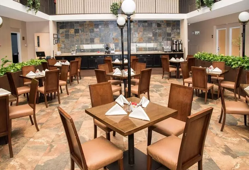 Fotos del hotel Best Western Plus Monterrey Airport:  4