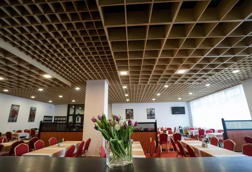 Fotos del hotel Satel:  13