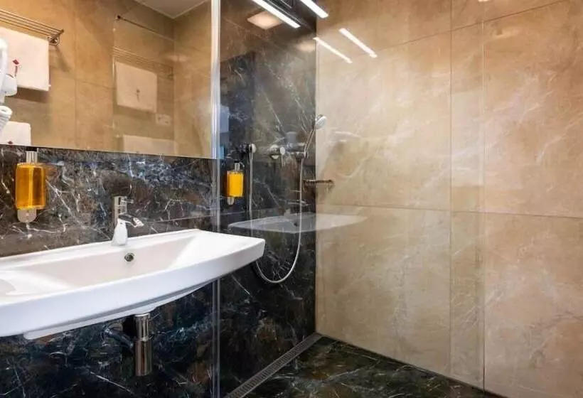 Fotos del hotel Satel:  6