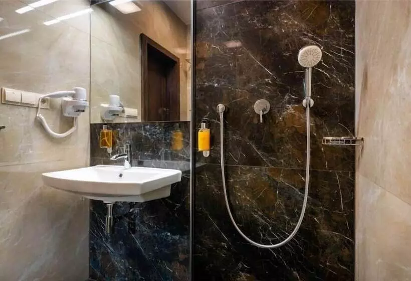 Fotos del hotel Satel:  10