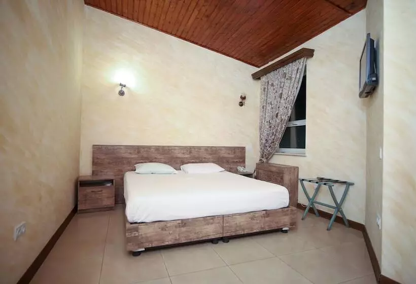 Fotos del hotel Armenian Village Park:  11