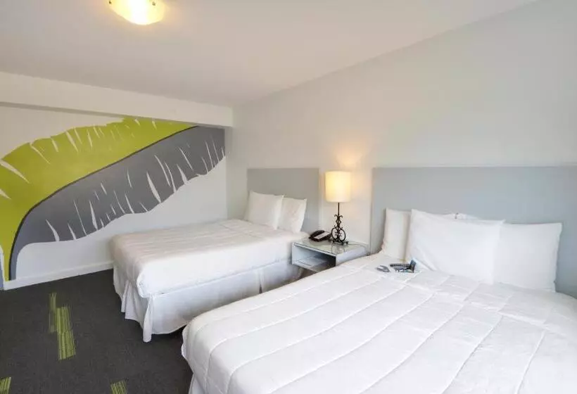 Fotos del hotel Miramar:  9