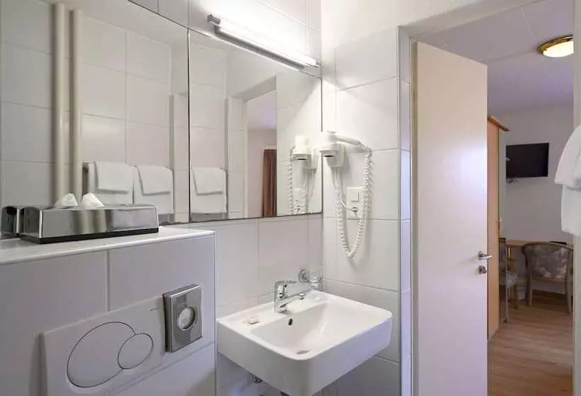 Fotos del hotel Olympia Hotel Zurich:  9