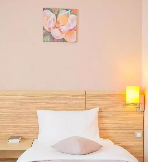 Fotos del hotel Rin Central:  13