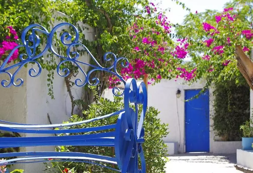 Fotos del hotel Palm Beach   Adults Only:  7