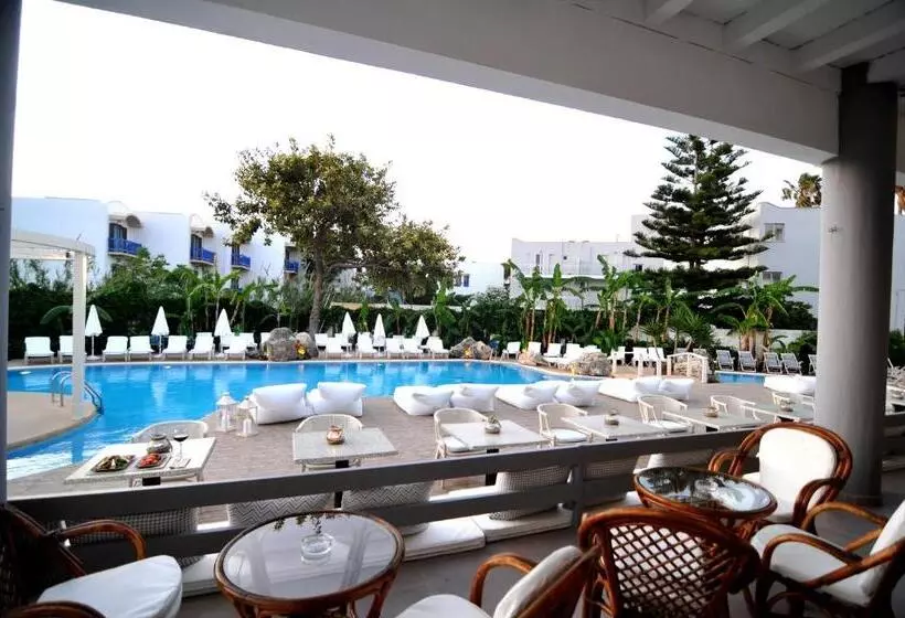 Fotos del hotel Palm Beach   Adults Only:  17