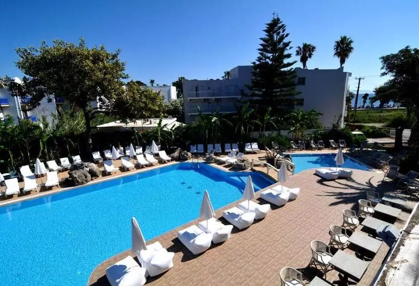 Palm Beach   Adults Only