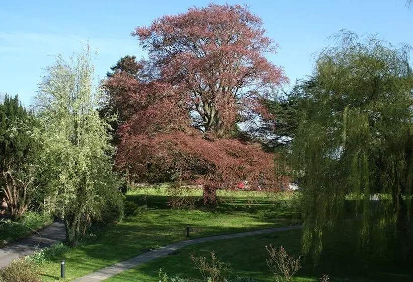 Fotos del hotel Chiseldon House:  14