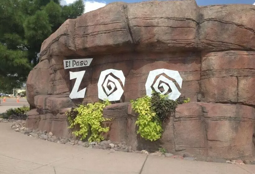 Fotos del hotel Gamma Ciudad Juarez:  25