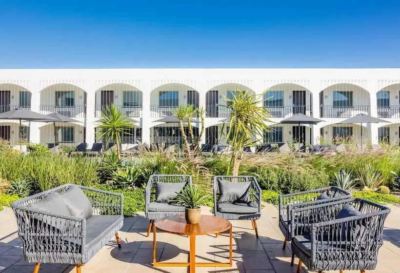 Fotos del hotel Gamma Ciudad Juarez:  5