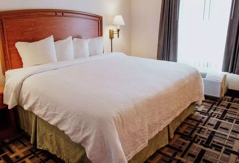 Fotos del hotel Hampton Inn Torreon Airport-galerias:  19