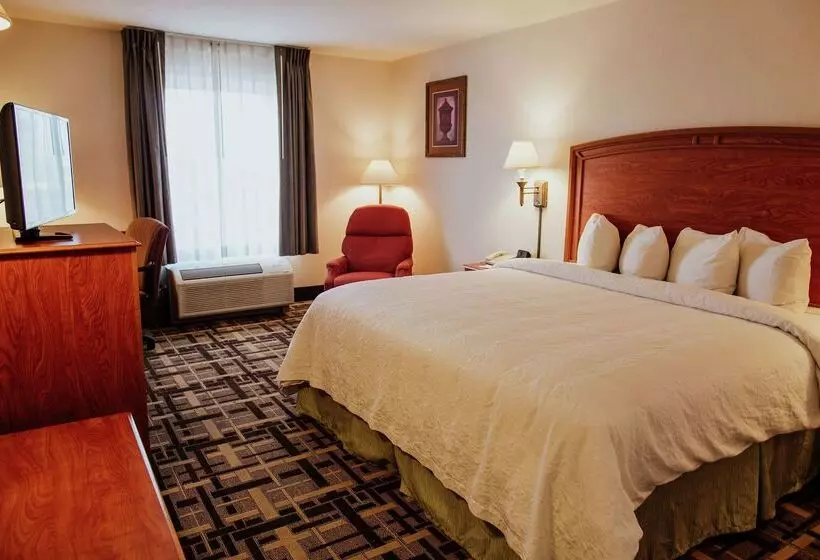 Fotos del hotel Hampton Inn Torreon Airport-galerias:  2