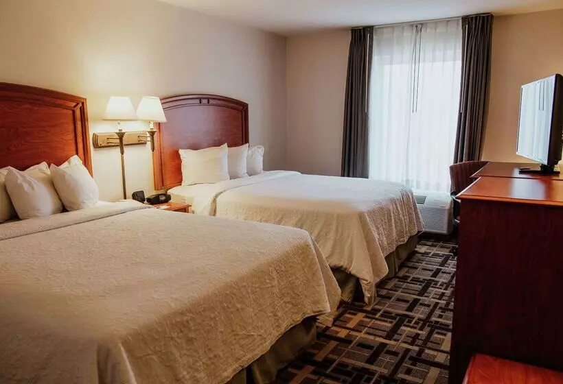 Fotos del hotel Hampton Inn Torreon Airport-galerias:  20