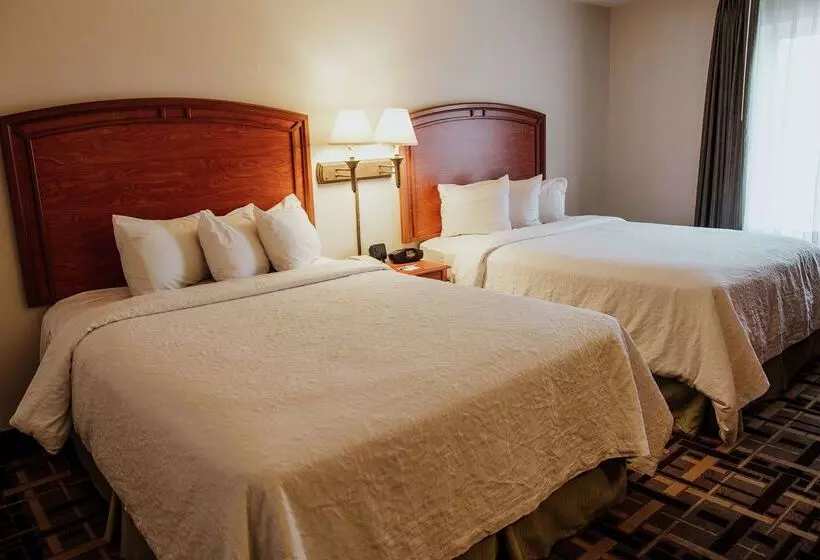 Fotos del hotel Hampton Inn Torreon Airport-galerias:  21