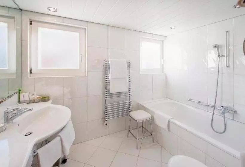 Fotos del hotel Metropol & Spa Zermatt:  6