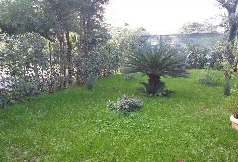 Fotos del hotel Capodichino International Hotel:  14