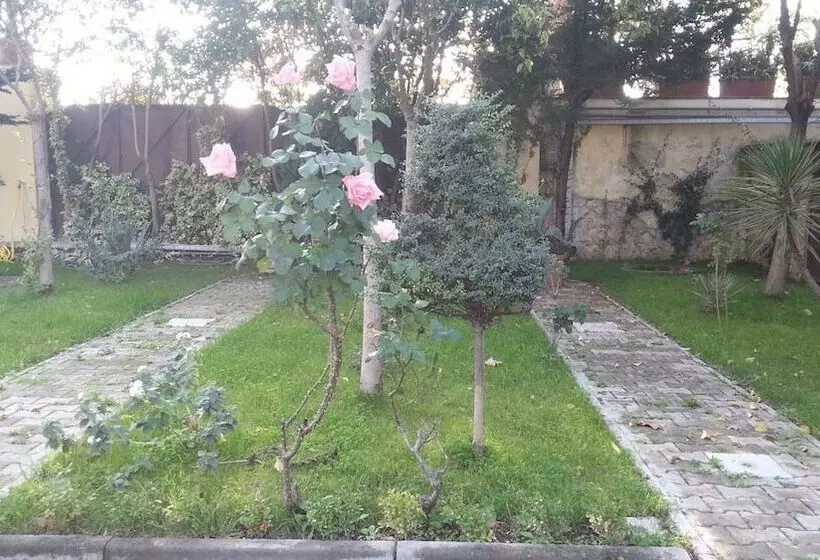 Fotos del hotel Capodichino International Hotel:  18