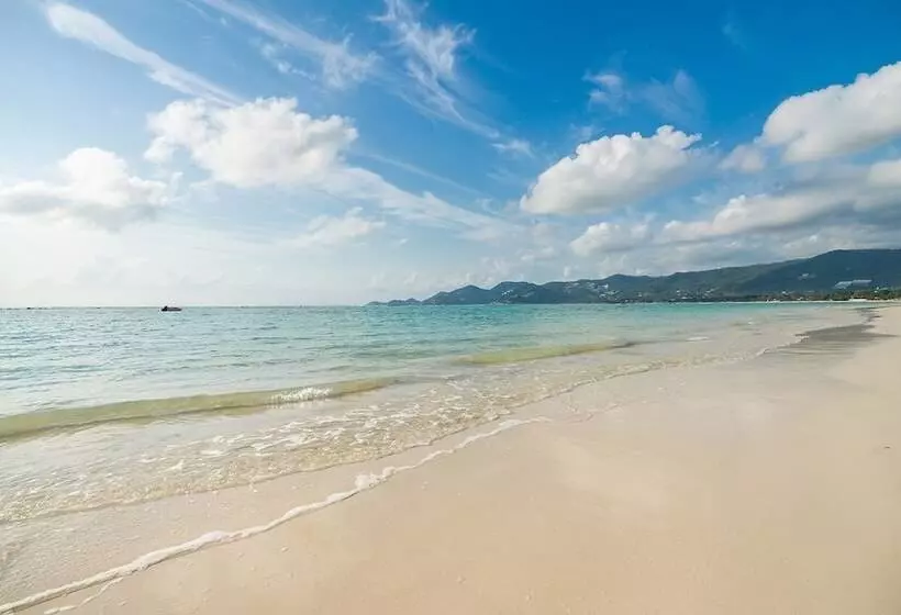 Fotos del hotel Muang Samui Spa Resort:  19