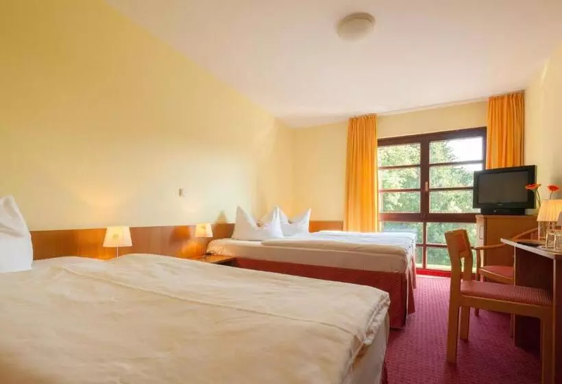 Fotos del hotel Kim  Im Park:  16