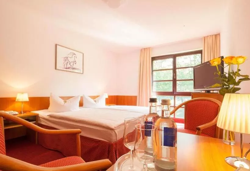 Fotos del hotel Kim  Im Park:  23