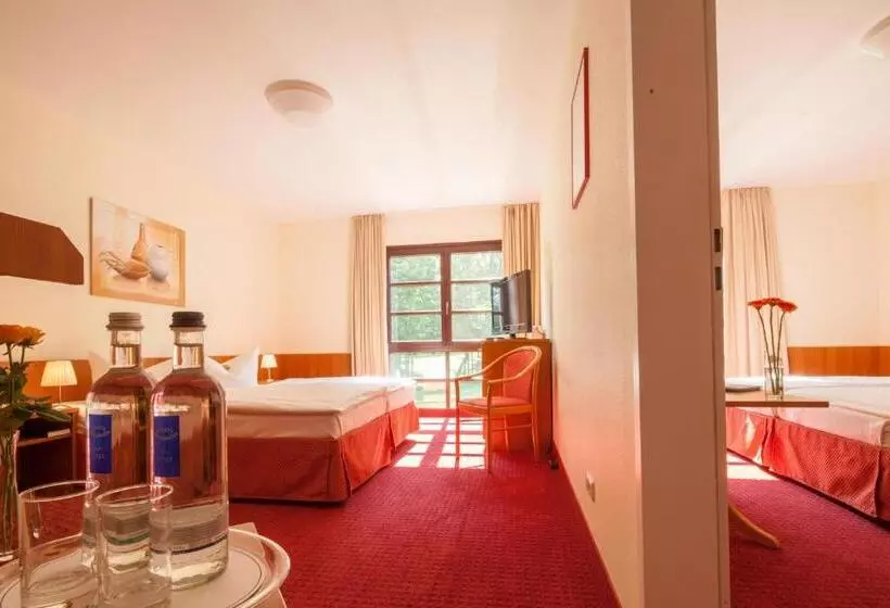 Fotos del hotel Kim  Im Park:  21