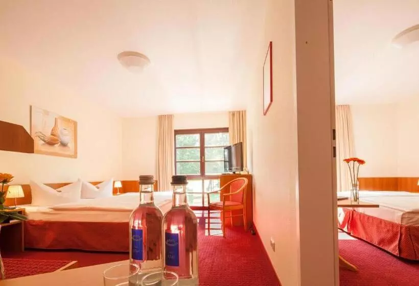 Fotos del hotel Kim  Im Park:  22