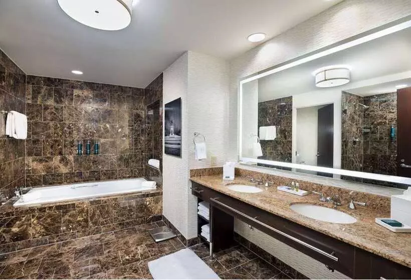 Fotos del hotel Hilton Americas - Houston:  10