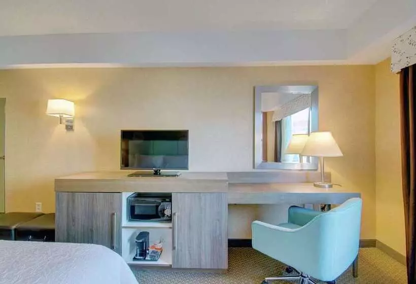 Fotos del hotel Hampton Inn & Suites Boston Crosstown Center:  25