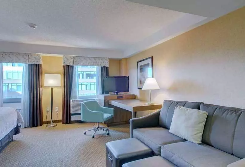 Fotos del hotel Hampton Inn & Suites Boston Crosstown Center:  10