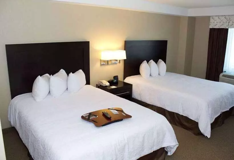 Fotos del hotel Hampton Inn & Suites Boston Crosstown Center:  12