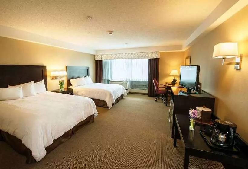 Fotos del hotel Hampton Inn & Suites Boston Crosstown Center:  9