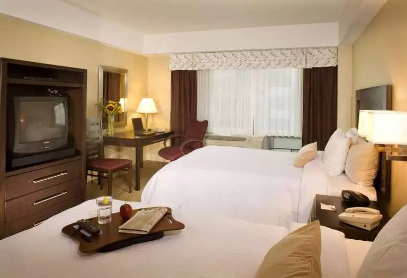 Fotos del hotel Hampton Inn & Suites Boston Crosstown Center:  5