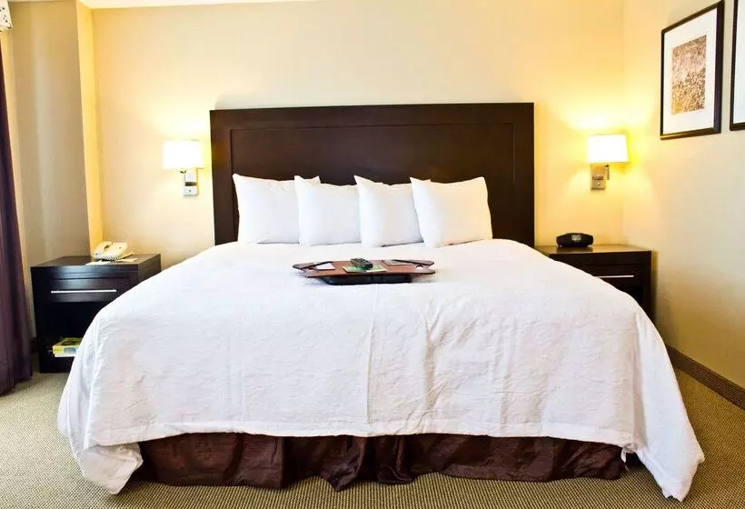 Fotos del hotel Hampton Inn & Suites Boston Crosstown Center:  7