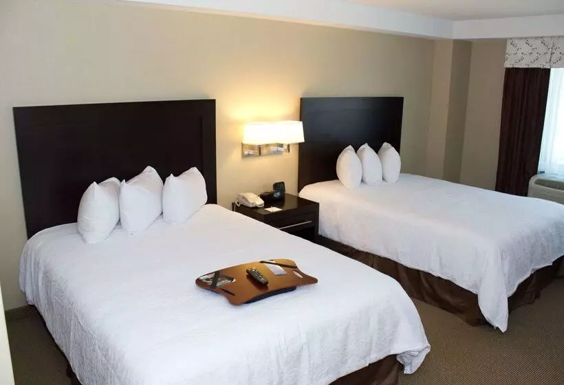Fotos del hotel Hampton Inn & Suites Boston Crosstown Center:  14
