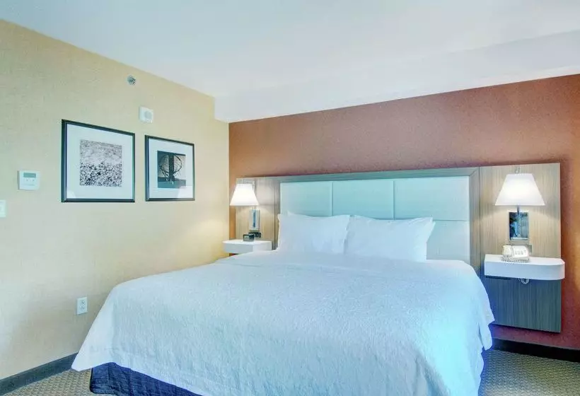 Fotos del hotel Hampton Inn & Suites Boston Crosstown Center:  23