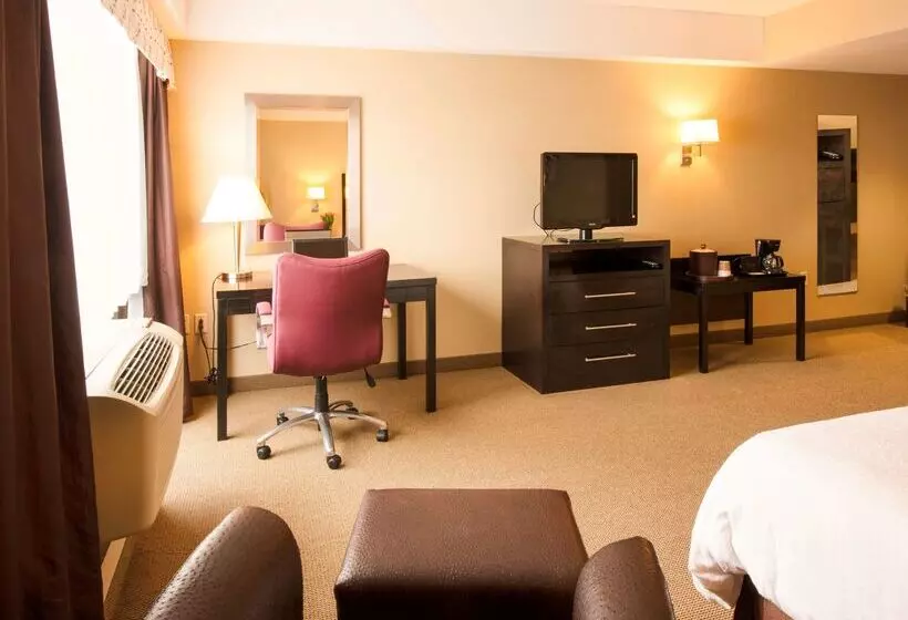 Fotos del hotel Hampton Inn & Suites Boston Crosstown Center:  4