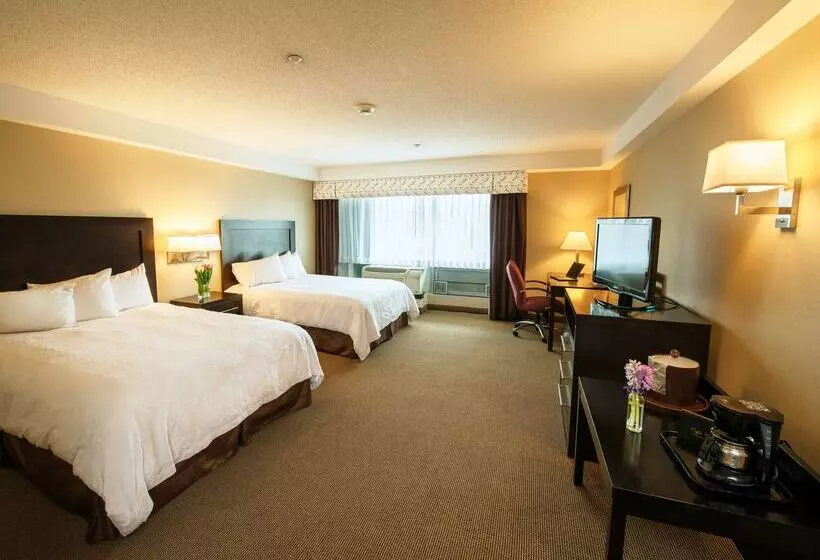 Fotos del hotel Hampton Inn & Suites Boston Crosstown Center:  11