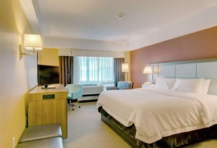 Fotos del hotel Hampton Inn & Suites Boston Crosstown Center:  8