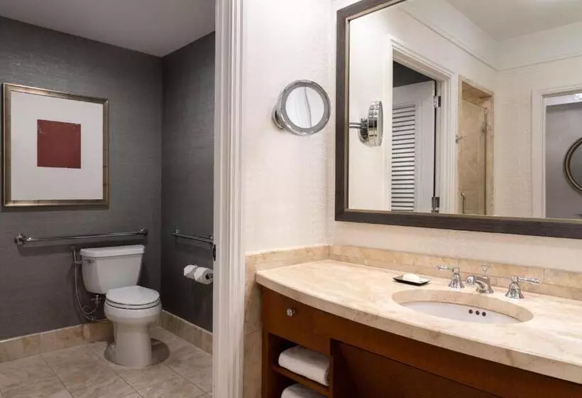 Fotos del hotel The Ritz-carlton, Boston:  9