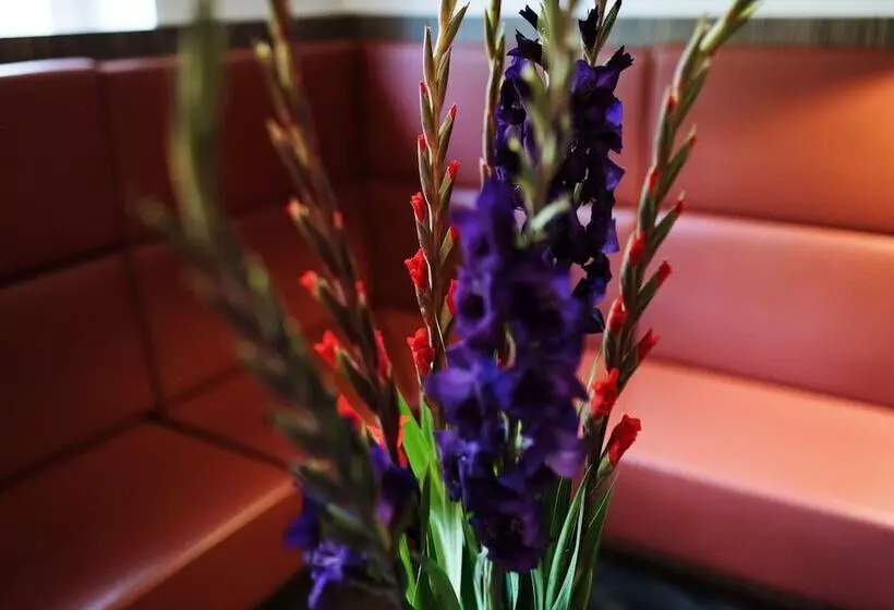 Fotos del hotel Savoy  Amsterdam:  13