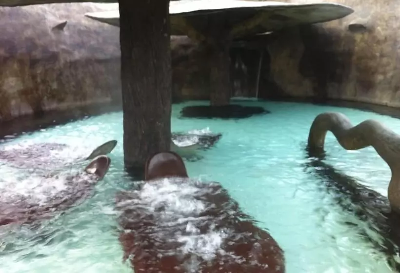 Fotos del hotel Central Loft:  17