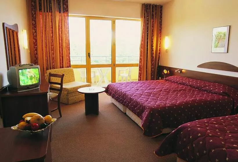 Fotos del hotel Continental Park:  24