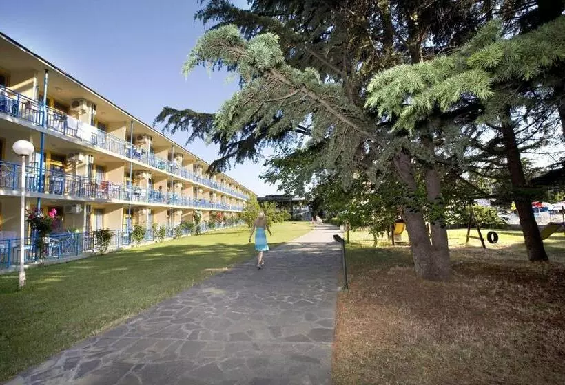 Fotos del hotel Continental Park:  8