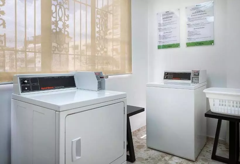 Fotos del hotel Plaza Florida Suites:  6